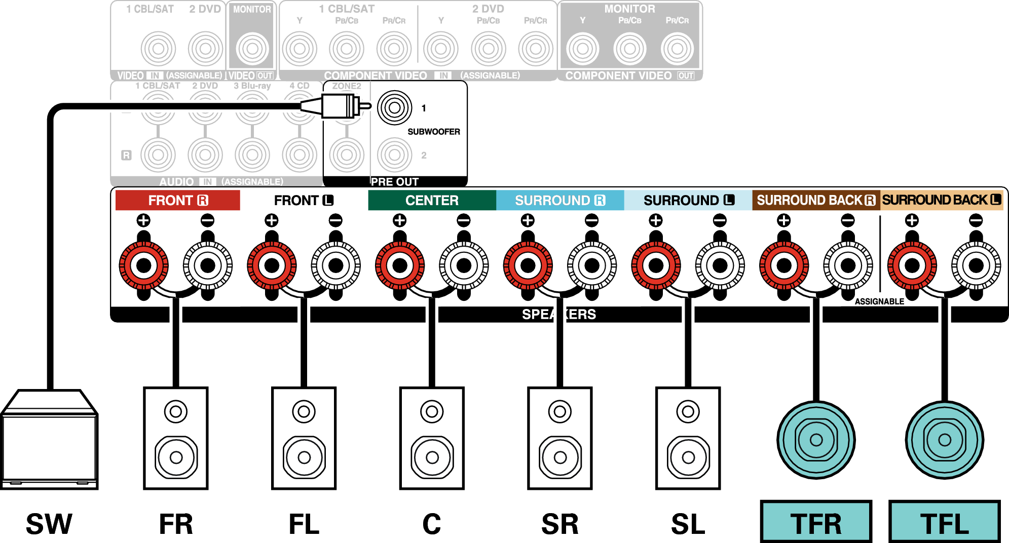 Conne SP 7.1 TF X24E3